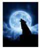 Portfolio Picture #10 for wolfwitch