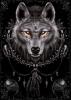 Portfolio Picture #4 for wolfwitch