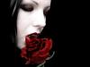 Portfolio Picture #2 for wwevampvixen1800