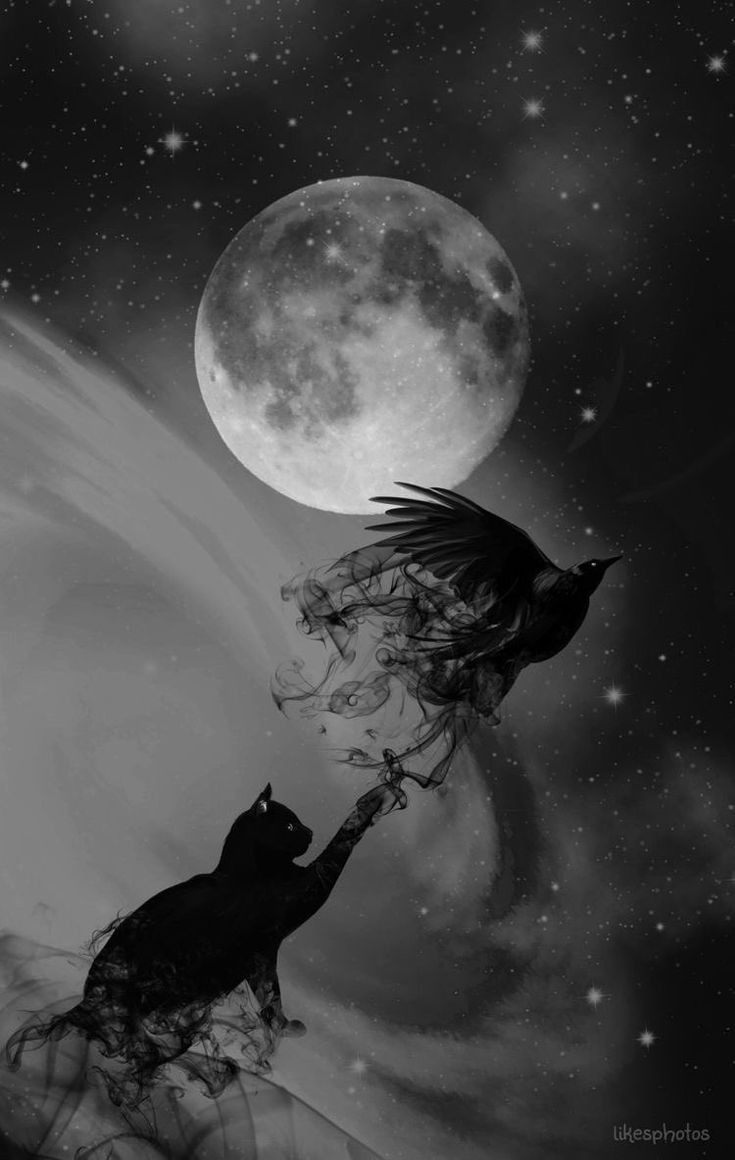 Real vampires love Vampire Rave.