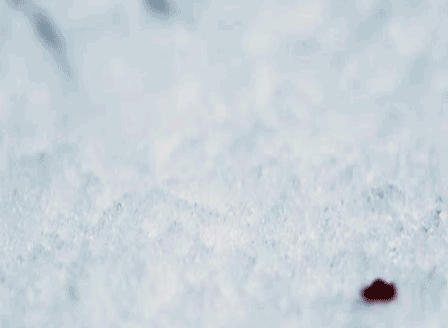 Real vampires love Vampire Rave.