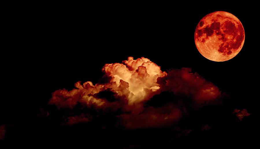 Immortal Universe