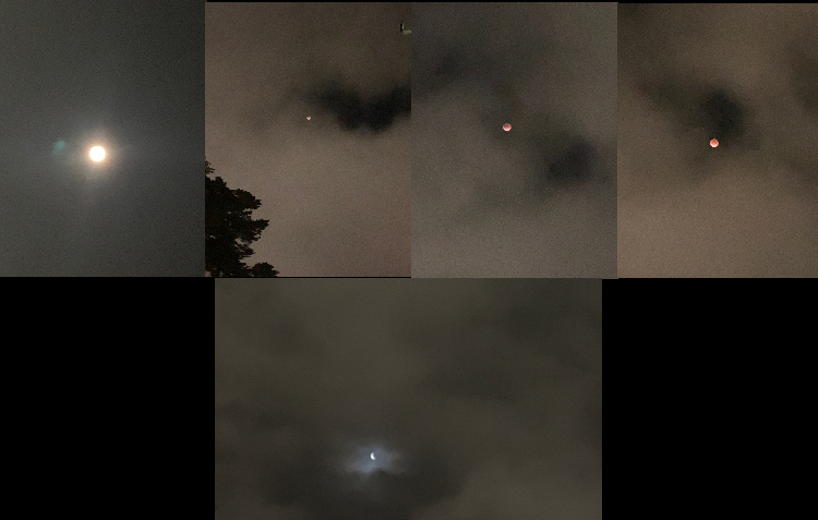 Real vampires love Vampire Rave.