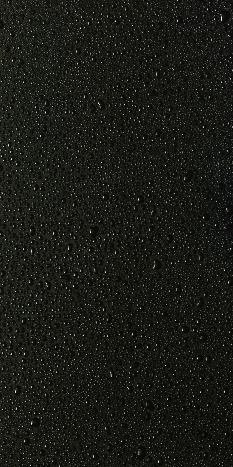 Real vampires love Vampire Rave.