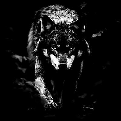 Real vampires love Vampire Rave.
