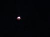 BloodMilkMoon2021