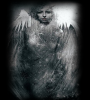 GreyAngelsAscend