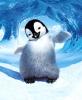 HappyFeet