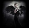 HeavenlyHated