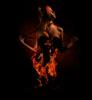 Incinerate