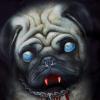 LordPug