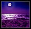 LunaObscura