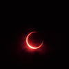 MoonMade