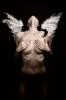 SadisticBeauty