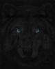 Shadowfire