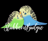 StubbornBudgie