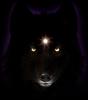 Tooms