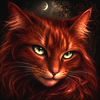 Witchykitten