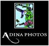 adinaphotos