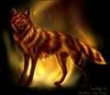 amberwolf