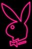 angelbunny13