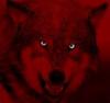 bloodmoonwarwolf