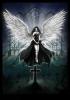 darkisabella1019