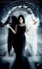 darklight818