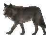 demorte33