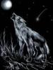 greywolf13