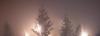 metalocalypse808