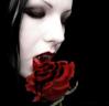 msvampy