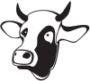 seanmoo2