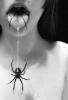 theblackspider