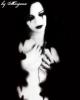 vamplustme