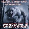 Portfolio Picture #4 for Cadrewolf2